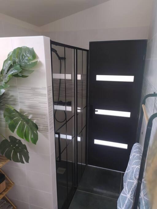 Holiday home Maisonnette Biscarrosse